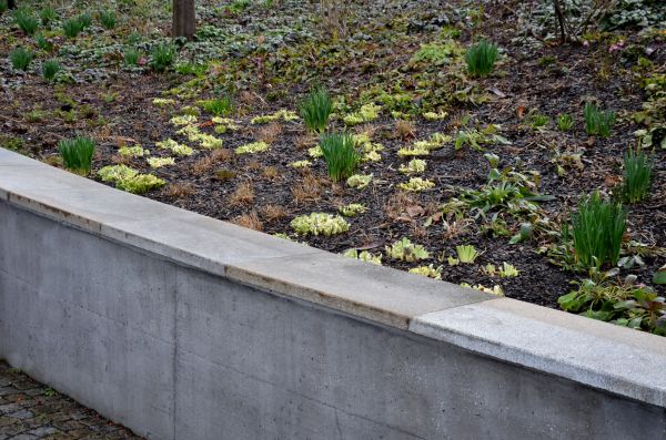 Concrete Wall Construction in Falls Church