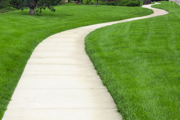 Pathway Replacement in Falls Church